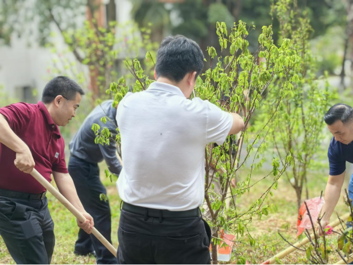 品宝龙与印尼合作伙伴在桃花源种下友谊、希望之树